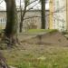 Fundament odciągu masztu radiostacji in Toruń city