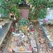 The tomb of Konrad Swinarski in Warsaw city