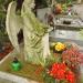 The grave of Irena Trzcińska-Fruehling in Warsaw city