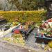 The grave of Waldemar Świerzy in Warsaw city