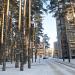 Просп. Тайкос, 32 в городе Висагинас