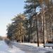 ул. Космосо, 14 в городе Висагинас