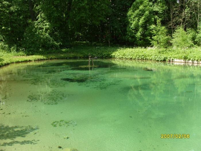 Водоёмы Ропша