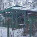 Голубиный питомник № 0431 в городе Москва