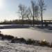 Пруд в городе Томилино