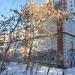 Хозяйственная постройка в городе Екатеринбург