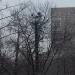 Мачта освещения в городе Москва