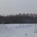 Роща в городе Череповец