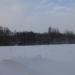 Роща в городе Череповец