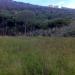 LAND TO BE BUILT
