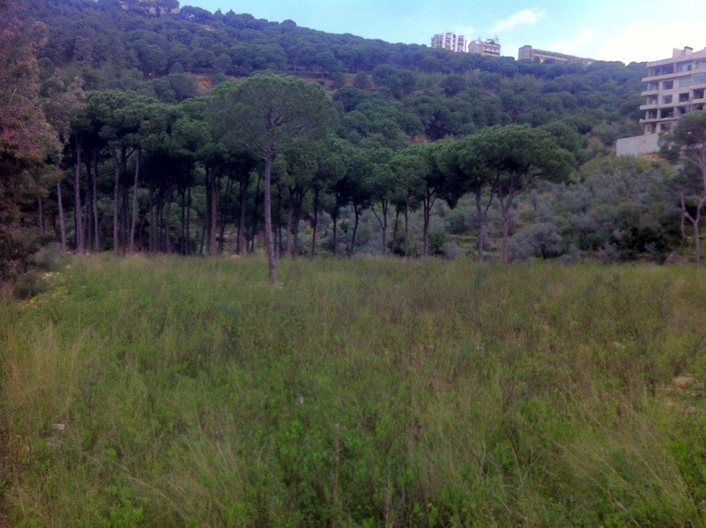 LAND TO BE BUILT Greater Beirut