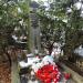 The grave of Tadeusz Kutrzeba in Warsaw city