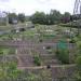 Herbert Road Allotments in Stafford city