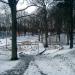Park dworski in Gdynia city