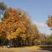 Mini-park at the Soborna Square