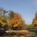 Mini-park at the Soborna Square