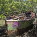 Badu Shipwreck, Homebush Bay