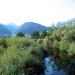 Almyros wetland