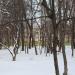 Дошкольное отделение школы № 2097 в городе Москва