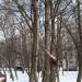 Туристская ул., 2 корпус 1 в городе Москва