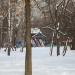 Детская площадка в городе Москва