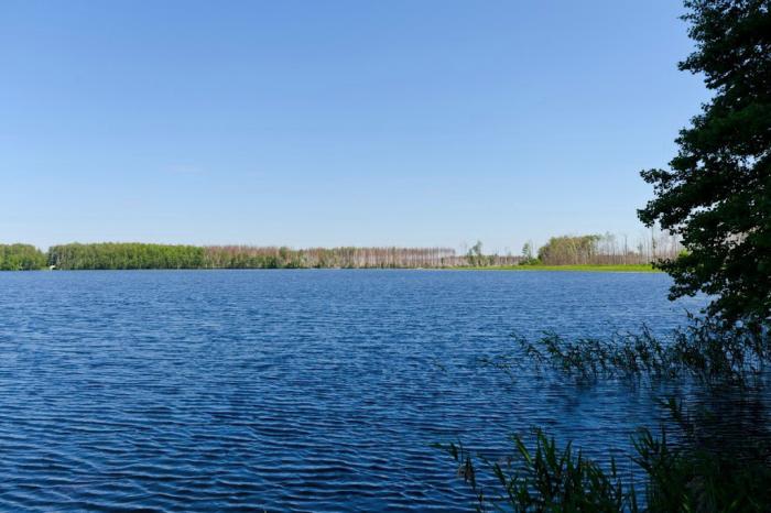 Озеро прыщино рязань фото Lake Segdeno