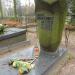 The grave of Karol Adwentowicz in Warsaw city