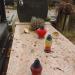 The grave of Juliusz Berger in Warsaw city