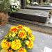 The tomb of Aleksander Zelwerowicz in Warsaw city