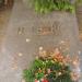 The grave of Grzegorz Fitelberg in Warsaw city