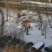 Детская игровая площадка в городе Москва