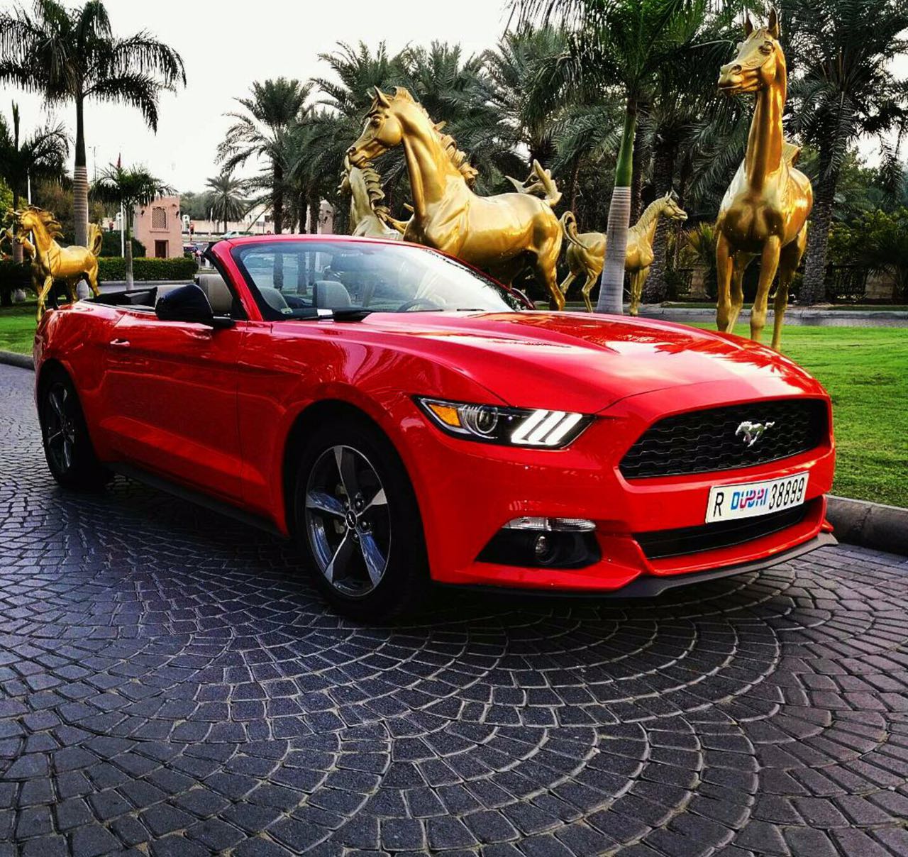 Faster Rent A Car - Dubai