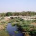 Stream & Bridge