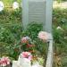 Воинское захоронение в городе Сольцы