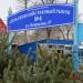 Дмитриевский рынок в городе Камышин