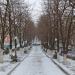 Городская аллея в городе Енакиево
