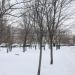 Сквер в городе Москва