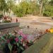Tomb of Alfred Fiderkiewicz in Warsaw city