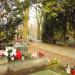 The grave of Tadeusz Kutrzeba in Warsaw city