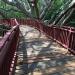 Timber Elevated Walk Way in Pyin Oo Lwin ( MayMyo ) Hill Top Town city