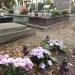The grave of Mieczysław Bram in Warsaw city