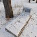 Воинское захоронение В. Л. Несветайлова в городе Кисловодск