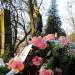 The grave of Antoni Dobrski in Warsaw city