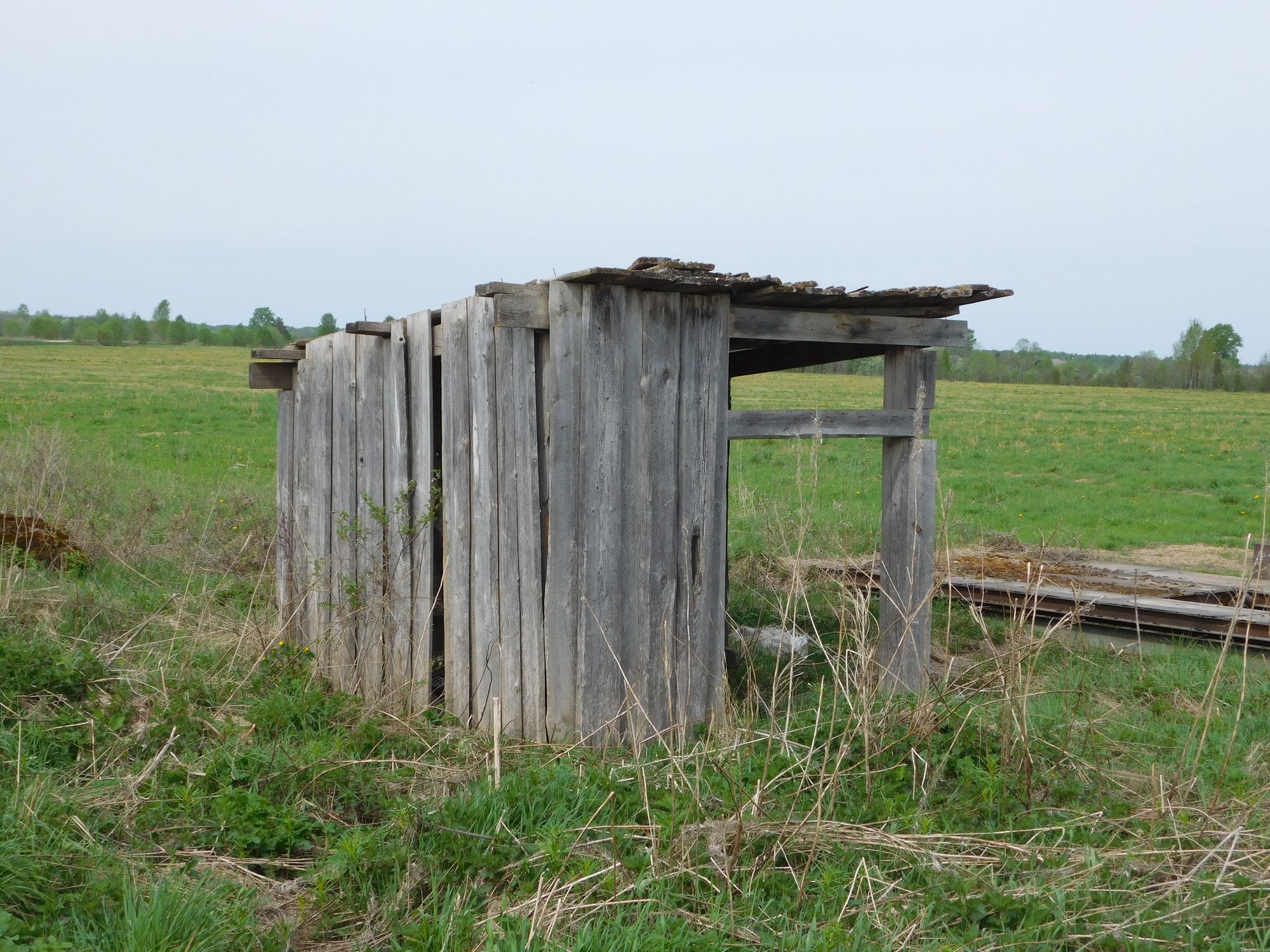 Старая собачья будка