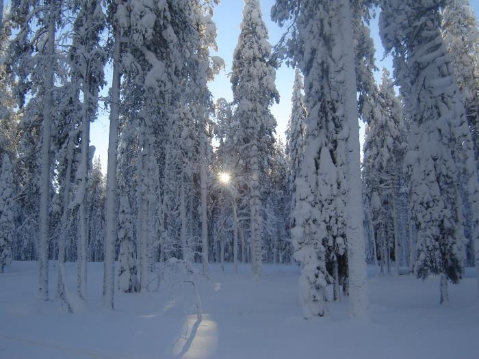 Зима в Карелии Костомукша