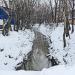 Открытый участок реки Нищенки
