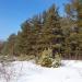 Лысая горка в городе Красноярск