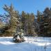 Лысая горка в городе Красноярск