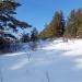 Лысая горка в городе Красноярск