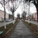 Бульвар в городе Сольцы